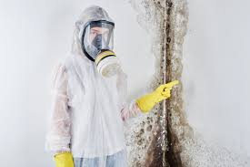 Keys, OK Mold Removal & Remediation Company